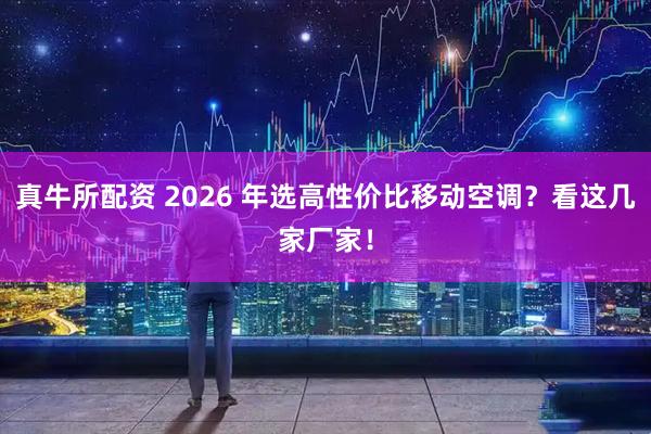 真牛所配资 2026 年选高性价比移动空调？看这几家厂家！