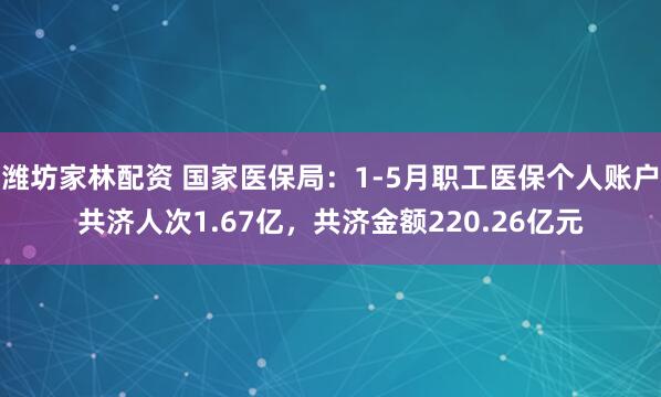 潍坊家林配资 国家医保局：1-5月职工医保个人账户共济人次1.67亿，共济金额220.26亿元